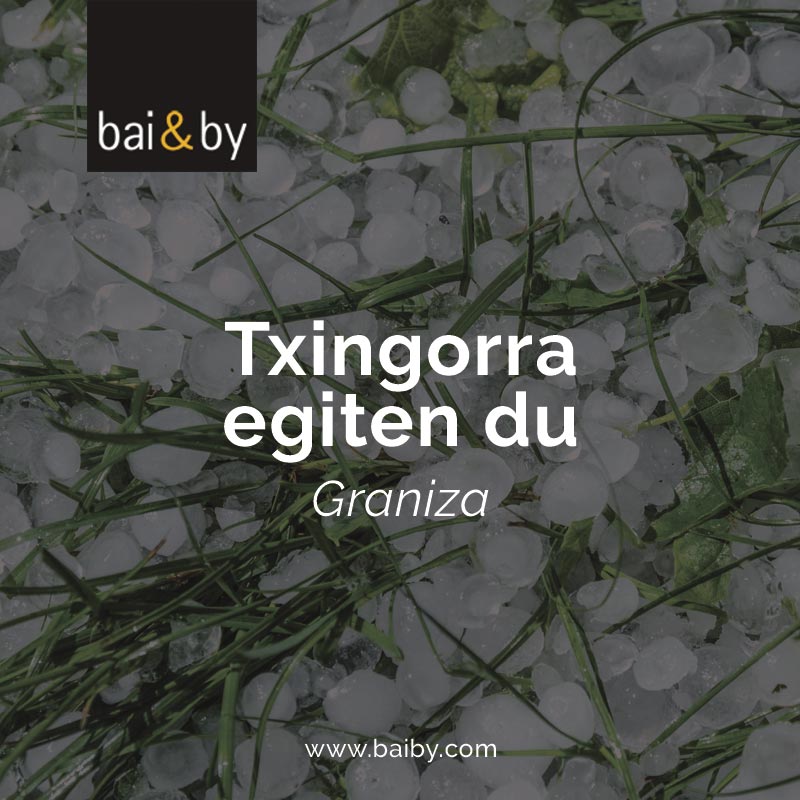 Txingorra egiten du: graniza