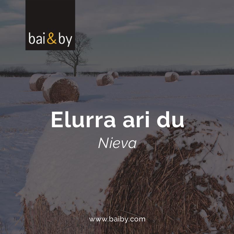 Elurra ari du: nieva