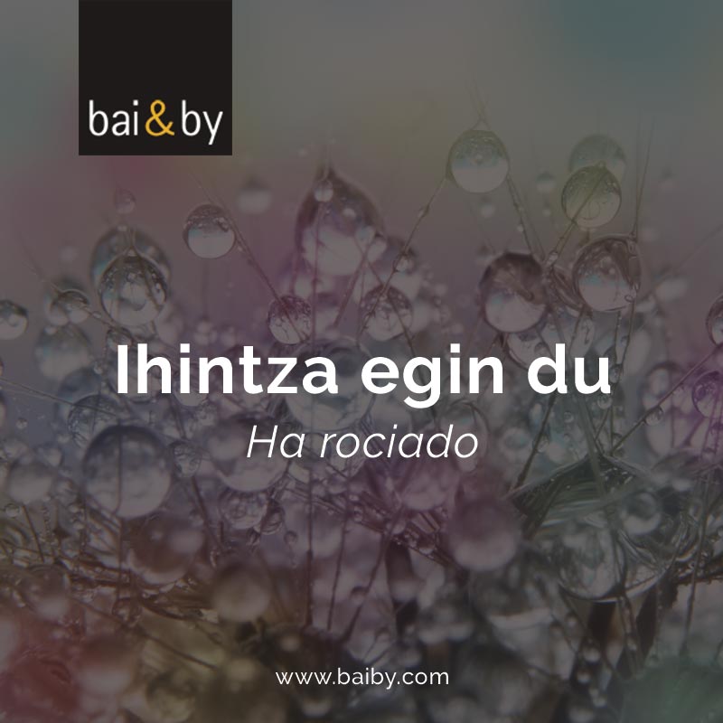 Ihintza egin du: ha rociado